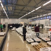 Savona, due nuovi posteggi al Mercato Ittico all’Ingrosso: ecco il bando