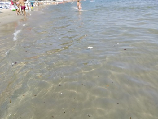 Acqua del mare sporca ad Alassio, la lettera di un lettore