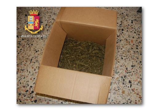 La maxi-operazione "Giardini segreti" arriva a toccare Carcare. Nei guai il Circolo Arci "Il Genio della Canapa" (FOTO) La maxi-operazione "Giardini segreti" arriva a toccare Carcare. Nei guai il Circolo Arci "Il Genio della Canapa" (FOTO)