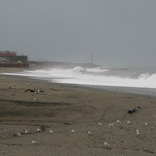 Mareggiata a Savona (le foto)