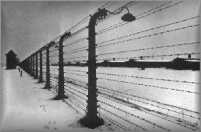 Giornata della Memoria: a Varazze un incontro pubblico dal titolo "Olga Watkins: i ricordi di una donna"