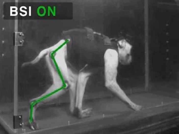 Macachi paralizzati tornano a usare zampa. Speranze da una nuova riabilitazione mediante neurotecnologie sviluppate anche al Politecnico federale di Losanna