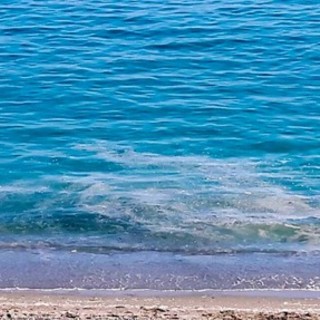 Velelle e chiazze sulla costa: disagi per l'odore