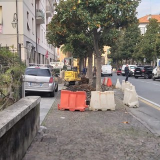 Albenga interviene su marciapiedi e asfalto. Il vice sindaco Passino: "Rispondiamo alle segnalazioni dei cittadini"