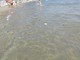 Acqua del mare sporca ad Alassio, la lettera di un lettore Acqua del mare sporca ad Alassio, la lettera di un lettore