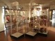 Savona, Il Comune aumenta le risorse per la gestione del Museo archeologico Savona, Il Comune aumenta le risorse per la gestione del Museo archeologico