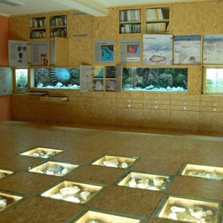 Al museo "Lai" di Ceriale una "passeggiata con Charles Darwin"