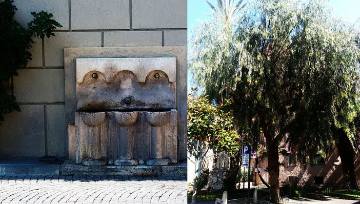 Pietra Ligure, Carrara: “Salviamo l’albero di pepe e la fontanella”