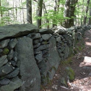 Varazze, domenica 17 ottobre visita straordinaria agli scavi archeologici di Alpicella