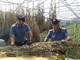 Ben 4mila piante di marijuana sequestrate a Salea, in manette 54enne incensurato di Albenga