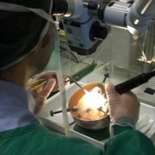 Anche i medici della nostra provincia in piazza ieri per chiedere il rinnovo del contratto della Dirigenza Medica Anche i medici della nostra provincia in piazza ieri per chiedere il rinnovo del contratto della Dirigenza Medica