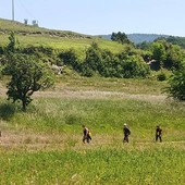 La nuova stagione del turismo lento: boom di camminate enogastronomiche in Val Bormida tra boschi, sapori e comunità La nuova stagione del turismo lento: boom di camminate enogastronomiche in Val Bormida tra boschi, sapori e comunità
