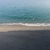 Ceriale, volontari di "Plastic Free" ripuliscono le spiagge, raccolti 125 kg di rifiuti Ceriale, volontari di "Plastic Free" ripuliscono le spiagge, raccolti 125 kg di rifiuti
