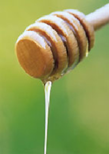 Quiliano: Saperi e sapori d’abbazia: miele, birra e distillati Quiliano: Saperi e sapori d’abbazia: miele, birra e distillati