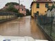 Meteo estremo, Legambiente: "Basta ritardi, accelerare il passo verso la transizione green" Meteo estremo, Legambiente: "Basta ritardi, accelerare il passo verso la transizione green"