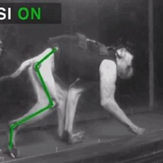 Macachi paralizzati tornano a usare zampa. Speranze da una nuova riabilitazione mediante neurotecnologie sviluppate anche al Politecnico federale di Losanna