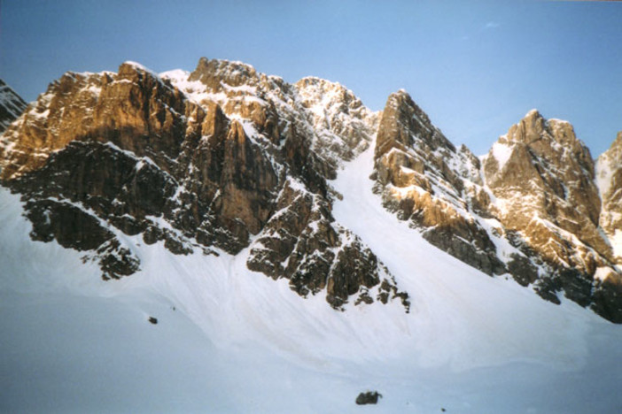 Immagine generica Immagine generica