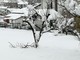 Maltempo: la neve imbianca la Val Bormida, ma senza disagi