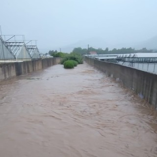 Forti piogge ad Albenga: allagamenti, strade chiuse e interventi in corso