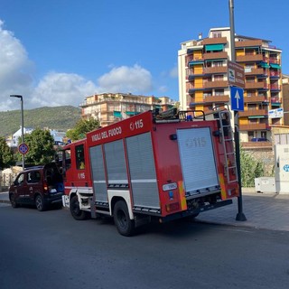 Pietra Ligure, morìa di animali nel torrente Maremola: una ventina gli esemplari senza vita (FOTO)