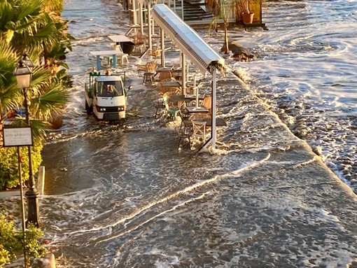 Facebook "Alassiowood"