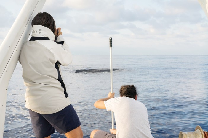 Foto di Mattia Meirana