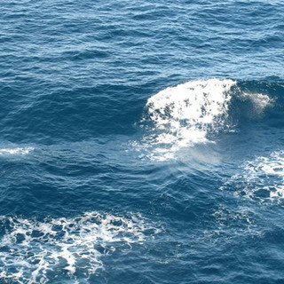 Italia-Francia, Di Muro e Viviani (Lega): "Governo risponda su trattato Caen: no a svendite del nostro mare"