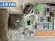Savona, in casa oltre 3 chili di droga nascosti in cucina e nel frigorifero: arrestato un 19enne Savona, in casa oltre 3 chili di droga nascosti in cucina e nel frigorifero: arrestato un 19enne