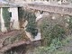 Tovo San Giacomo, troppa vegetazione nel torrente: l'amministrazione risponde ad una segnalazione giunta alla nostra redazione
