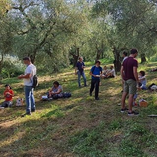 Andora, torna la "merenda nell'oliveto", la passeggiata con degustazione di olio evo