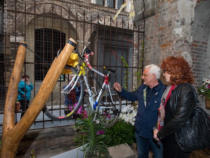 Un grande successo di visitatori e Fior d’Albenga viene prorogata fino al 26 aprile Un grande successo di visitatori e Fior d’Albenga viene prorogata fino al 26 aprile