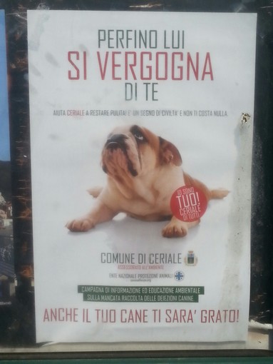 A Ceriale, dove i cani si vergognano dei proprietari sporcaccioni A Ceriale, dove i cani si vergognano dei proprietari sporcaccioni