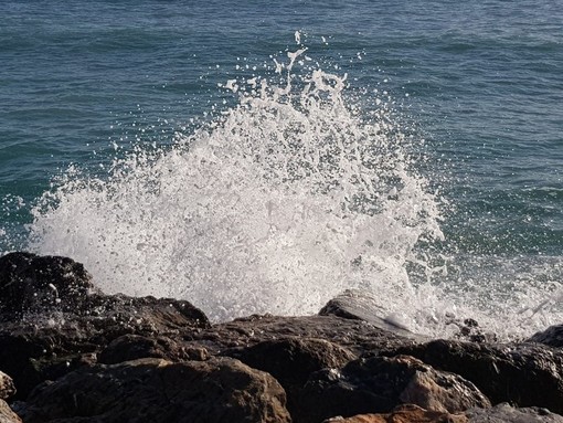 Pietra, il 25 agosto appuntamento con la suggestiva iniziativa di snorkeling notturno “Il mare nel buio” Pietra, il 25 agosto appuntamento con la suggestiva iniziativa di snorkeling notturno “Il mare nel buio”