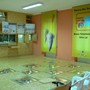 Eventi estivi al Museo Lai di Peagna: tornano i Summer Lab e le serate a tema &quot;Animali notturni&quot;