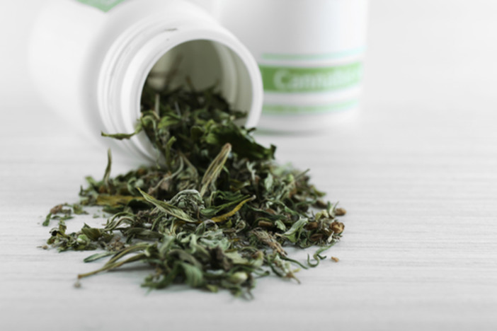 Moonrock di justmary: tutto ciò che c'è da sapere sulla qualità di cannabis più ricercata Moonrock di justmary: tutto ciò che c'è da sapere sulla qualità di cannabis più ricercata