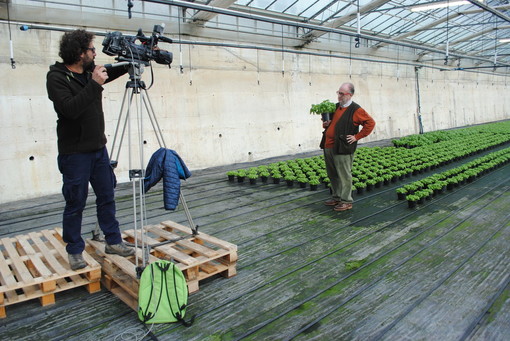 Albenga ospita una puntata di "Melaverde" sulle erbe aromatiche (FOTO) Albenga ospita una puntata di "Melaverde" sulle erbe aromatiche (FOTO)