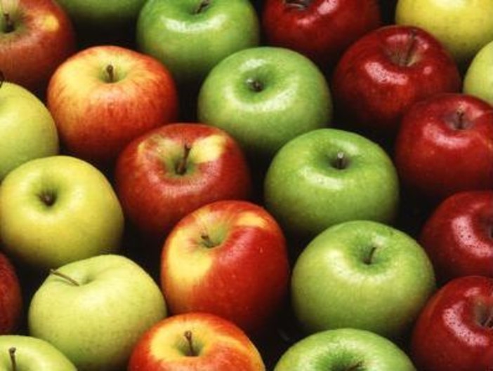 Val Bormida: un nuovo e inedito progetto della Condotta Slow Food Val Bormida: un nuovo e inedito progetto della Condotta Slow Food