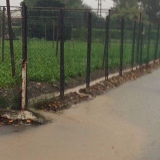 Imu sui terreni: Governo verso il rinvio. Alberto CIA Liguria “Atto di buon senso”