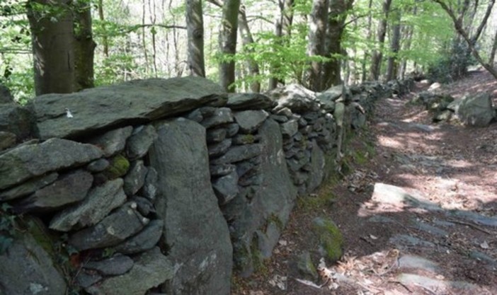 Varazze, domenica 17 ottobre visita straordinaria agli scavi archeologici di Alpicella