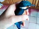 Portovado, un martin pescatore soccorso dai volontari della Protezione Animali Portovado, un martin pescatore soccorso dai volontari della Protezione Animali