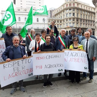 Danni da fauna selvatica alle coltivazioni, Cia Agricoltori chiede alla politica una revisione della legge 157 Danni da fauna selvatica alle coltivazioni, Cia Agricoltori chiede alla politica una revisione della legge 157