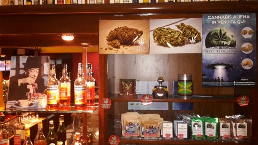 Albenga, al bar Perbacco arriva la marijuana light Albenga, al bar Perbacco arriva la marijuana light