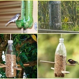 Sos neve e freddo, i consigli di OSA per proteggere gli animali