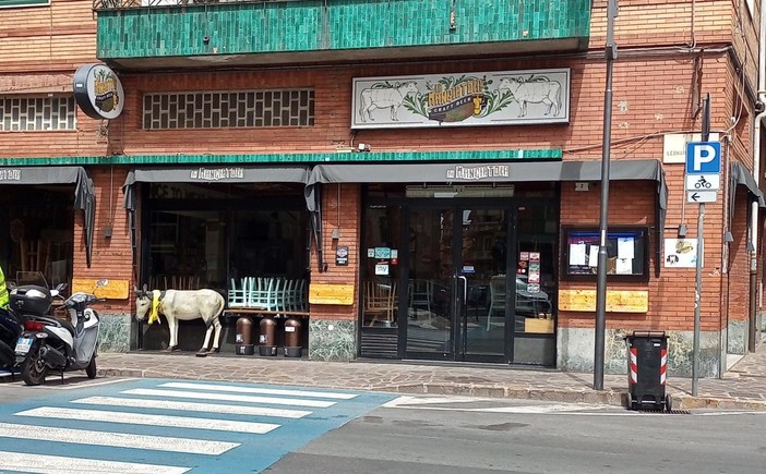 Far West nel centro di Alassio: dipendenti minacciati, arredi distrutti e motorini danneggiati Far West nel centro di Alassio: dipendenti minacciati, arredi distrutti e motorini danneggiati
