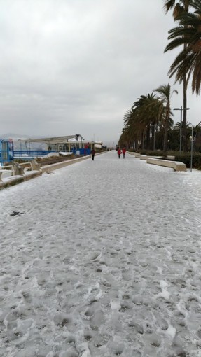 La magia del "manto bianco" su Savona (fotogallery) La magia del "manto bianco" su Savona (fotogallery)