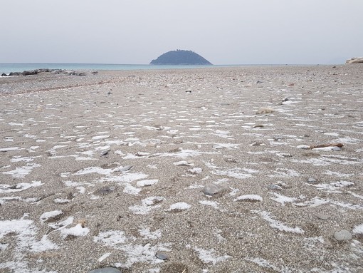 Una spolverata di neve imbianca Albenga, l'assessore Passino: "Il Coc è attivo e siamo pronti ad affrontare l'eventuale emergenza"