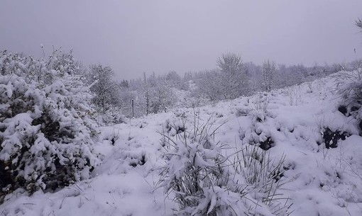 Maltempo, 30 centimetri di neve sul monte Settepani. Pioggia sulla costa savonese