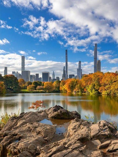 New York New York