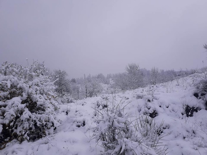 Allerta neve, dall'Arpal: "Precipitazioni confinate a parte dell’entroterra savonese"