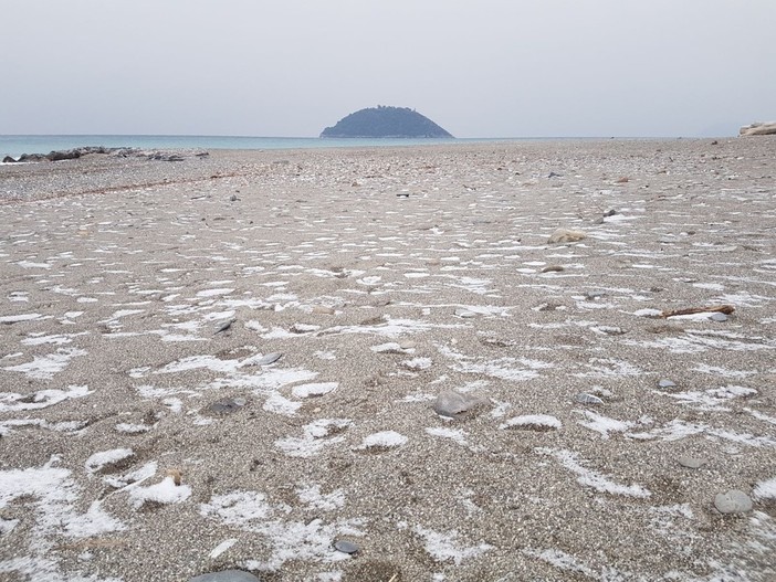 Una spolverata di neve imbianca Albenga, l'assessore Passino: "Il Coc è attivo e siamo pronti ad affrontare l'eventuale emergenza"
